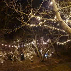 Hellisgerði Park - Hafnarfjörður (Hafnarfjorour)