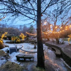 Hellisgerði Park - Hafnarfjörður (Hafnarfjorour)