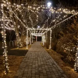 Hellisgerði Park - Hafnarfjörður (Hafnarfjorour)