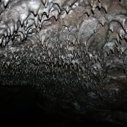 Lava Fields Surrounding Hafnarfjörður - Hafnarfjörður (Hafnarfjorour)