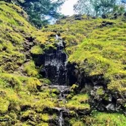 Álfaskeiðin (Elf Path) - Hafnarfjörður (Hafnarfjorour)