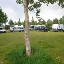 Viking Festival Hafnarfjörður - Hafnarfjörður (Hafnarfjorour)