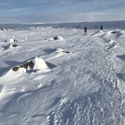 Dettifoss Waterfall - Husavik