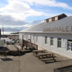 Husavik Whale Museum - Husavik