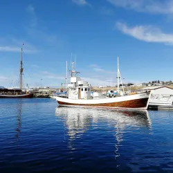 Husavik Whale Museum - Husavik