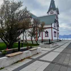 Whale Watching Tours - Husavik