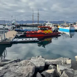 Whale Watching Tours - Husavik
