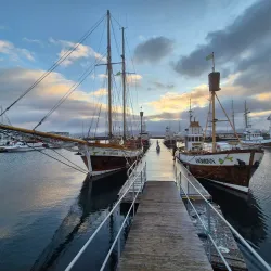 Whale Watching Tours - Husavik