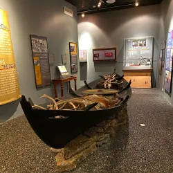 Saltfish Museum - Keflavik