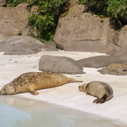 Fjölskyldu- og húsdýragarðurinn (Family and Petting Zoo) - Kopavogur