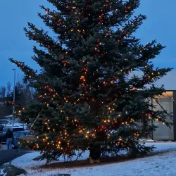 Kópavogur Swimming Pool (Sundlaug Kópavogs) - Kopavogur