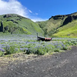 Víkingavatn Park - Kopavogur