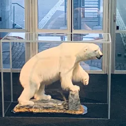 Perlan Museum and Observation Deck - Reykjavik