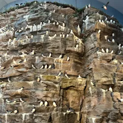 Perlan Museum and Observation Deck - Reykjavik