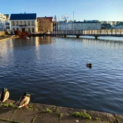Tjörnin Pond - Reykjavik