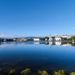 Tjörnin Pond - Reykjavik