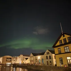 Tjörnin Pond - Reykjavik