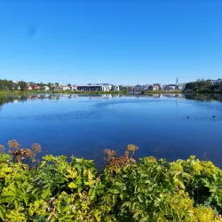 Tjörnin Pond - Reykjavik