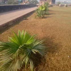 Chini Ka Rauza - Agra