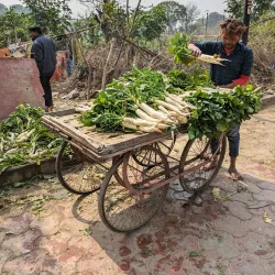 Mughal Heritage Walk - Agra
