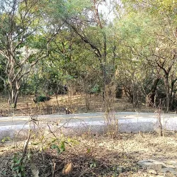 Taj Nature Walk - Agra