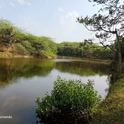 Taj Nature Walk - Agra