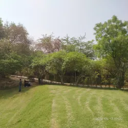 Taj Nature Walk - Agra