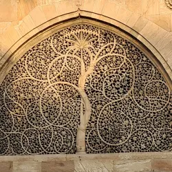 Sidi Saiyyed Mosque - Ahmedabad