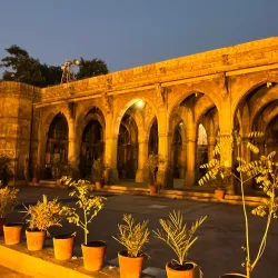 Sidi Saiyyed Mosque - Ahmedabad
