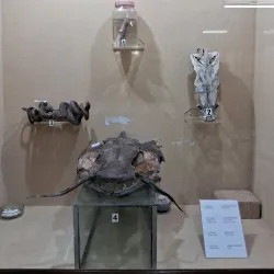 Mizoram State Museum - Aizawl