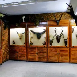 Mizoram State Museum - Aizawl