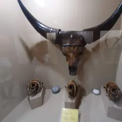 Mizoram State Museum - Aizawl