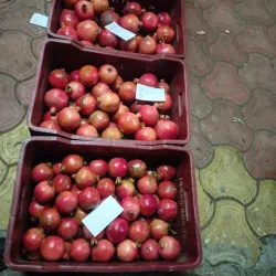 Akluj Market - Akluj