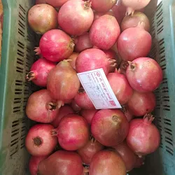 Akluj Market - Akluj