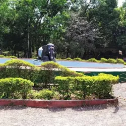 Maharaj Bagh and Zoo - Akola