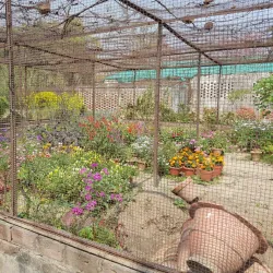 Aligarh Fort - Aligarh