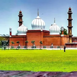 Aligarh Muslim University (AMU) - Aligarh