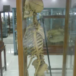 Aligarh Zoo - Aligarh