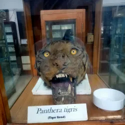 Aligarh Zoo - Aligarh