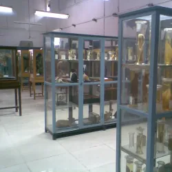 Aligarh Zoo - Aligarh