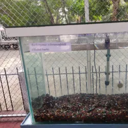 Aligarh Zoo - Aligarh