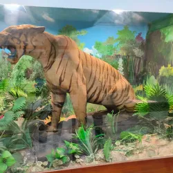 Allahabad Museum - Allahabad