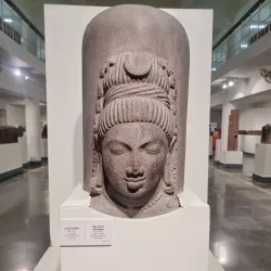 Allahabad Museum - Allahabad