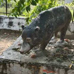 Minto Park - Allahabad