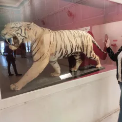 City Palace, Alwar - Alwar