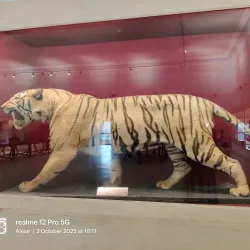 Government Museum, Alwar - Alwar