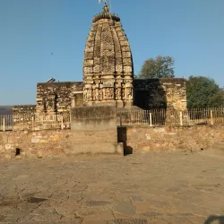 Sariska Tiger Reserve - Alwar