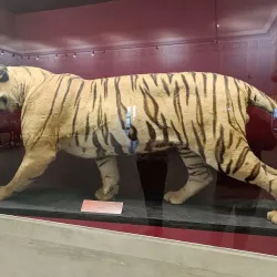 Vinay Vilas Mahal - Alwar