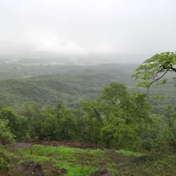 Karnala Bird Sanctuary - Ambernath