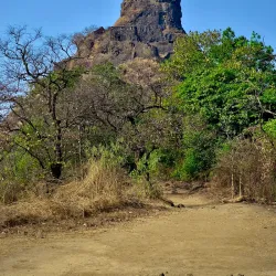 Karnala Bird Sanctuary - Ambernath